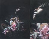 "Caçador" de orquídeas