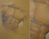 Torso Masculino