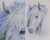 Cabeça de Cavalo Branco