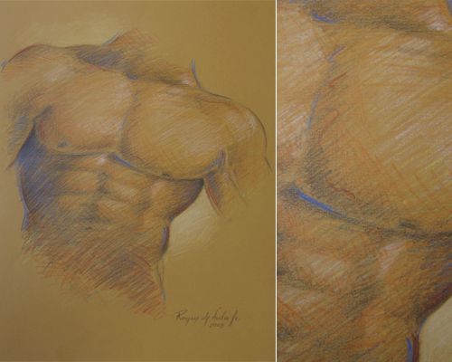 Torso Masculino